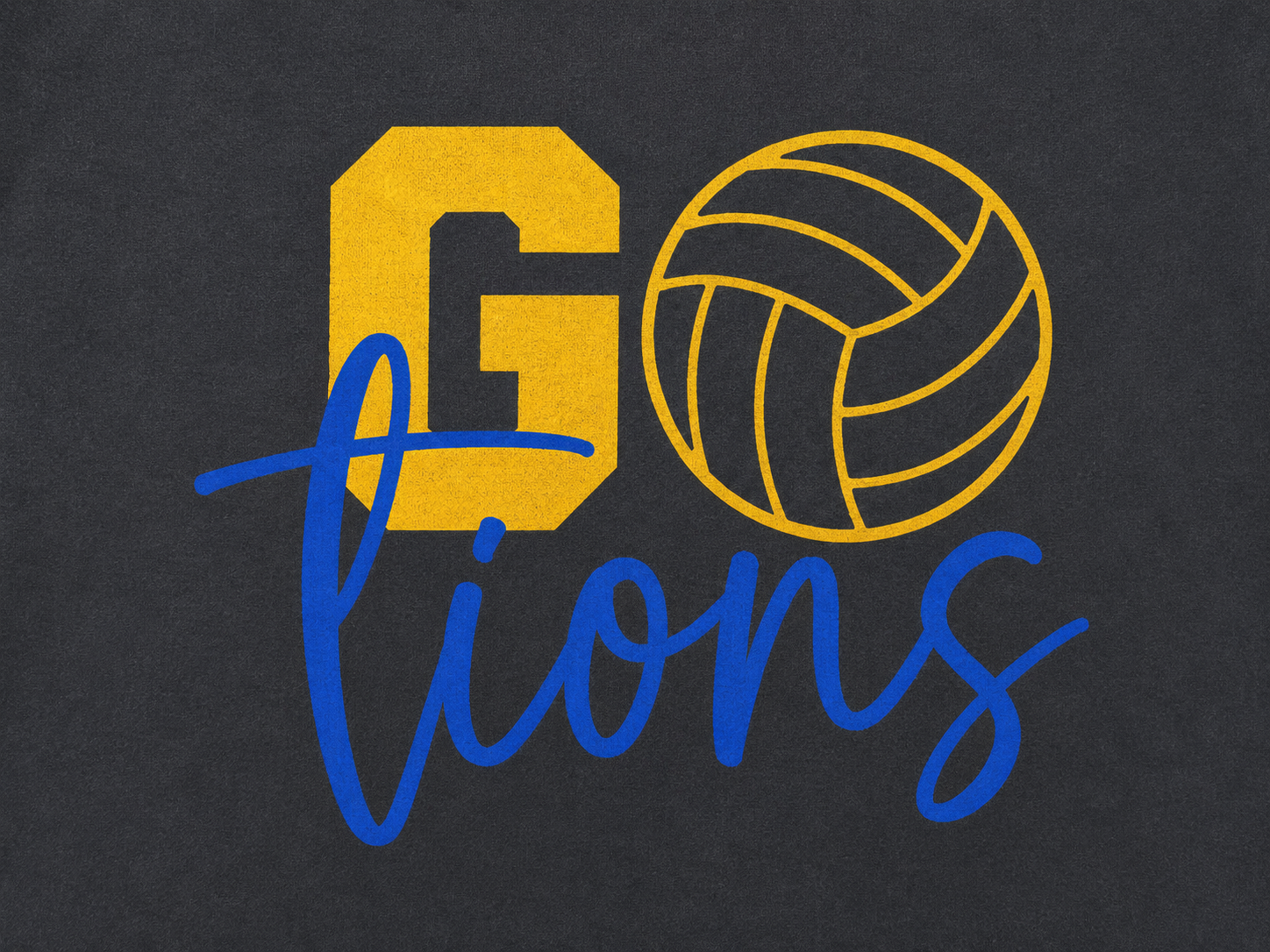 Go Lions Volleyball